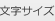文字サイズ