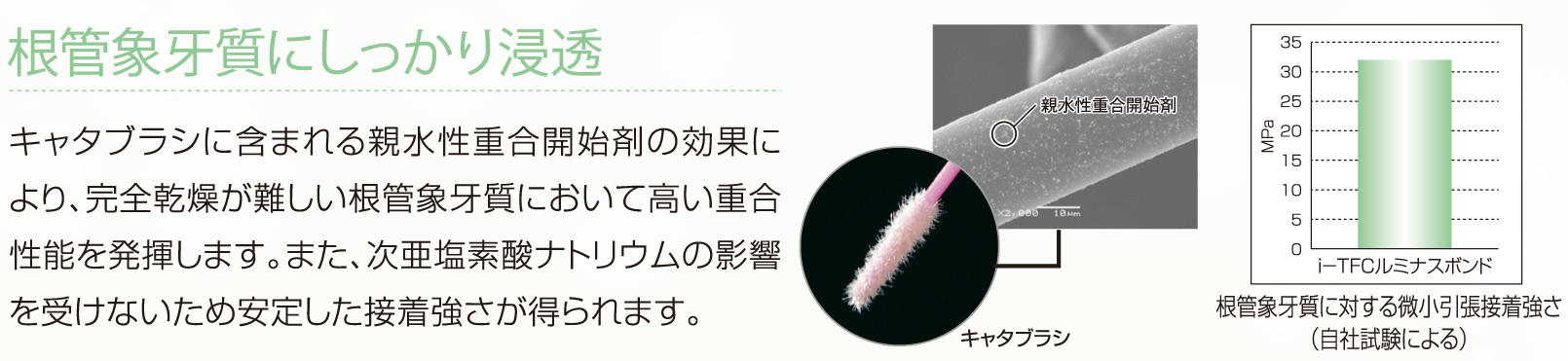 乾燥の難しい根管象牙質に適したボンディング材