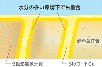 水分の多い環境下でも重合