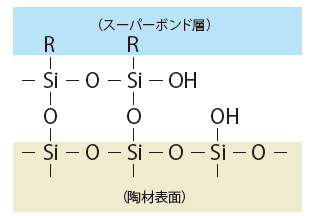 スーパーボンドとの結合