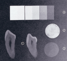 1.厚さ1mmのヒト小臼歯、2.スーパーボンド ラジオペーク、3.フォトクリアフィルA、4.厚さ1～6mmのアルミニウム板
