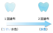 被膜の色調で確認